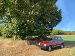 Fiat Panda 4x4 Sisley, Oldtimer