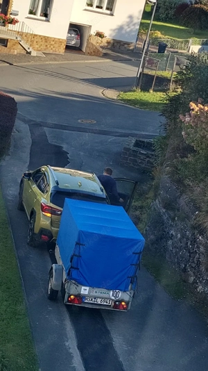 Brennholz für Kamin 