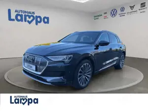 Audi e-tron 50 Advanced Quattro S-Line,ACC,AHK,RFK,PDC,SHZ