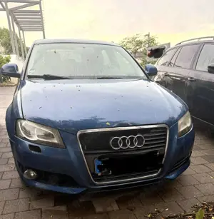 Audi A3 2.0 TDI DPF Ambition Bild 4