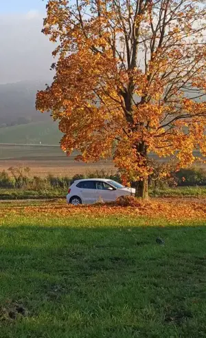 Volkswagen Polo Polo 1.0 Allstar