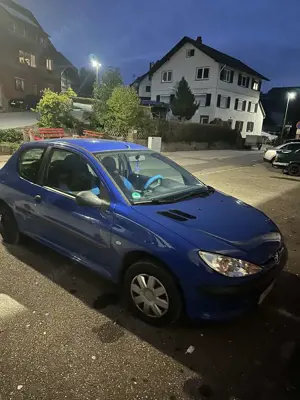 Peugeot 206 75 Grand Filou