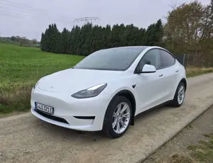 Tesla Model Y RWD