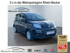 Fiat Panda Pandina Cross 1.0 GSE DAB Spurhalteass. Verkehrsze