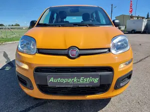 Fiat Panda 1.0 Mild-Hybrid Klima DAB Citylenkung Bild 3