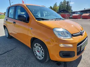 Fiat Panda 1.0 Mild-Hybrid Klima DAB Citylenkung Bild 4