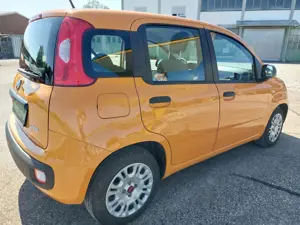 Fiat Panda 1.0 Mild-Hybrid Klima DAB Citylenkung Bild 5