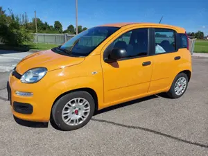 Fiat Panda 1.0 Mild-Hybrid Klima DAB Citylenkung Bild 2