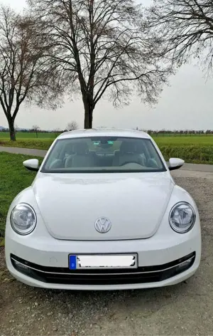 Volkswagen Beetle The Beetle 1.2 TSI Design
