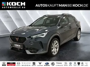 CUPRA Formentor 2.0 TSI DSG 4Drive LED PARKL STDHZ AHK
