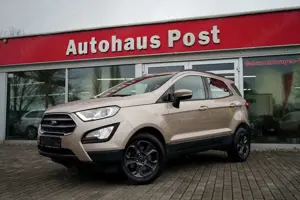 Ford EcoSport CoolConnect DAB Lenkradheizung Tempom