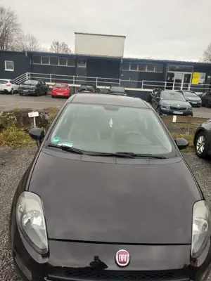 Fiat Punto Evo Punto EVO  5-Türer 1.2 8V Pop