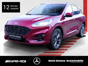 Ford Kuga 2.0 EcoBlue ST-LINE KAMERA SITZHZG KLIMA