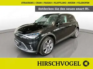 smart #1 Pulse Pano+Standhz+HUP+Navi+LED+360°K+PDC+SHZ