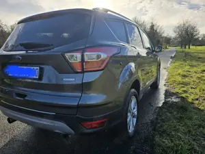 Ford Kuga 1,5 EcoBoost AWD 4x4 134kW Titanium Automatik AHK. Bild 5