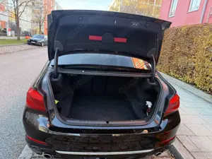 BMW 520 520d Aut. Luxury Line 360 Kamera Bild 5