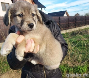 Offene Zaubermaus Peggy sucht noch Nestwärme 