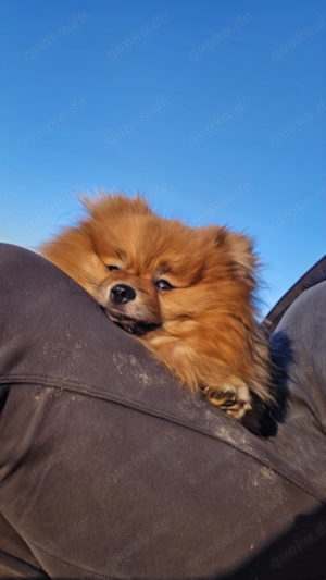 Herzensbrecherin sucht neues Glück.
