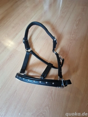 Pony Lederhalfter 