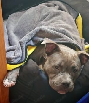 Bist du vielleicht mein neuer Lieblings Mensch? 