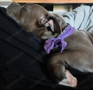 Bist du mein neuer Herz Mensch? 