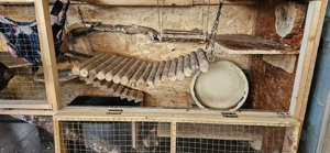 Nagerkäfig XXL auf Rollen Bild 4