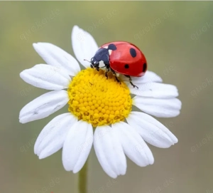 Mama mit 4-jährigem Sohn sucht liebevolles Zuhause in Sendling Westpark