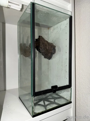 Terrarium 20x20 Grundfläche, 40 hoch