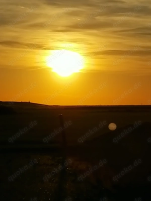 Ich suche Dich, ja Dich. (Besuchbar) 