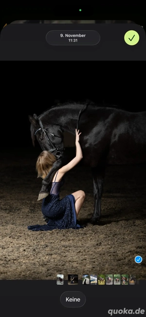 Lieber Wallach zu verkaufen-Tausch möglich 