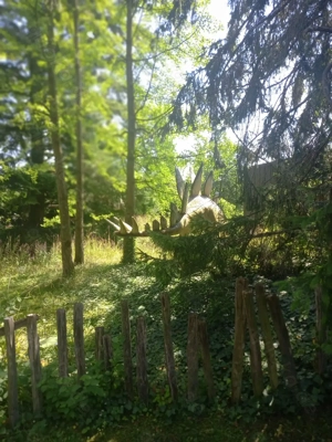 Gesucht kleine Mietwohnung in Wendlingen 