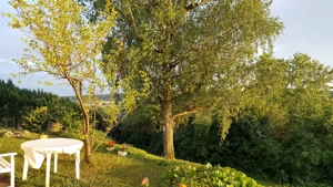 Wohngemeinschaft in Winzerhausen