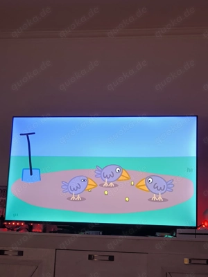 Hisense Fernseher 55Zoll