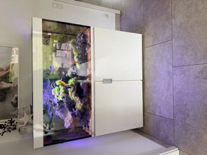 Meerwasser Aquarium Eheim incpiria 400 marine mit per App steuerbarer LED Beleuchtung abzugeben. 