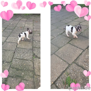 warum möchte mich keiner