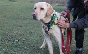 Hat Lindi dein Herz schon erobert?			