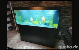 Juwel 450L in Schwarz neuwertig 