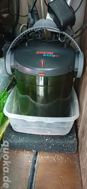 Terrarium Paludarium 60x50x80 (BxLxH) Bild 6