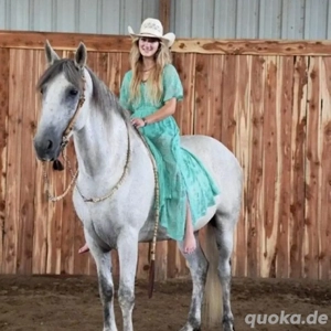 9-jähriges Pferd, halb Friese, halb Andalusier