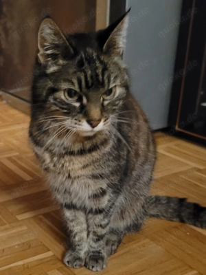 Die Mädchen suchts liebevolle Familie 