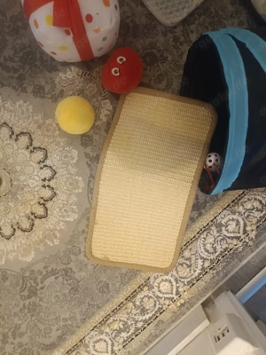 Katzenbehör in Rahlstedt