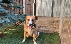 Ronya sucht ein warmes Plätzchen