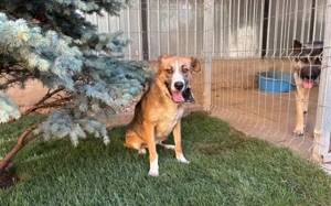 Ronya sucht ein warmes Plätzchen Bild 5