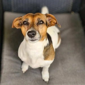 Barnie - ist nähebedürftig