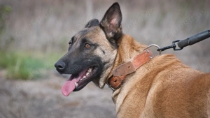 Lady, ein tolles Mädchen!