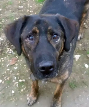 *SHELL* ist leider etwas dominant und versteht sich daher nicht mit allen Artgenossen. 