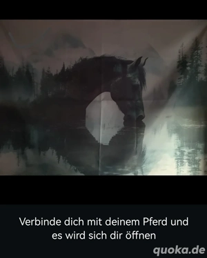 Suche Pferd Pony mit Problem