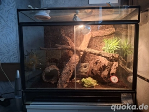 Verschiedene Terrarien