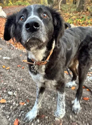 Pina eine große Maus mit Riesengroßem Herzen   in 82284