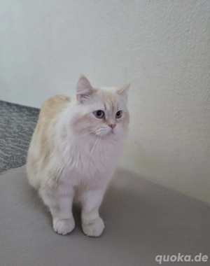 bei interrese fragen ect. bitte anschreiben